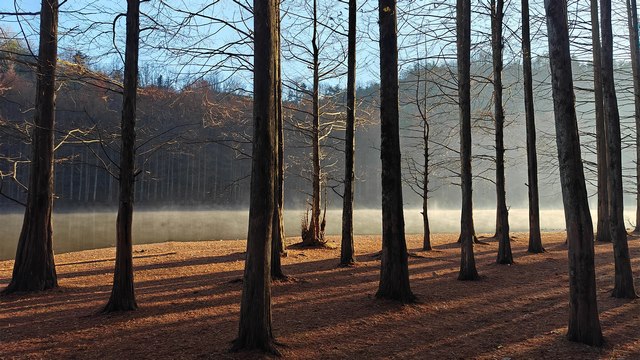 乡镇村官考试报名时间：“大地流彩——宜居宜业和美乡村” 农民文艺作品系列活动征集启事