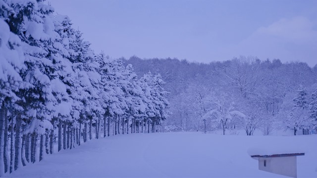 乡村报道：弯下腰、俯下身，真心实意暖人心